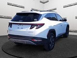 2023 Hyundai Tucson Hybrid Ultimate image 5