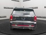 2025 Hyundai Palisade Ultimate Calligraphy Night image 4