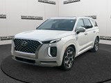 2021 Hyundai Palisade Ultimate Calligraphy image 1