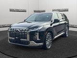 2024 Hyundai Palisade Ultimate Calligraphy image 1